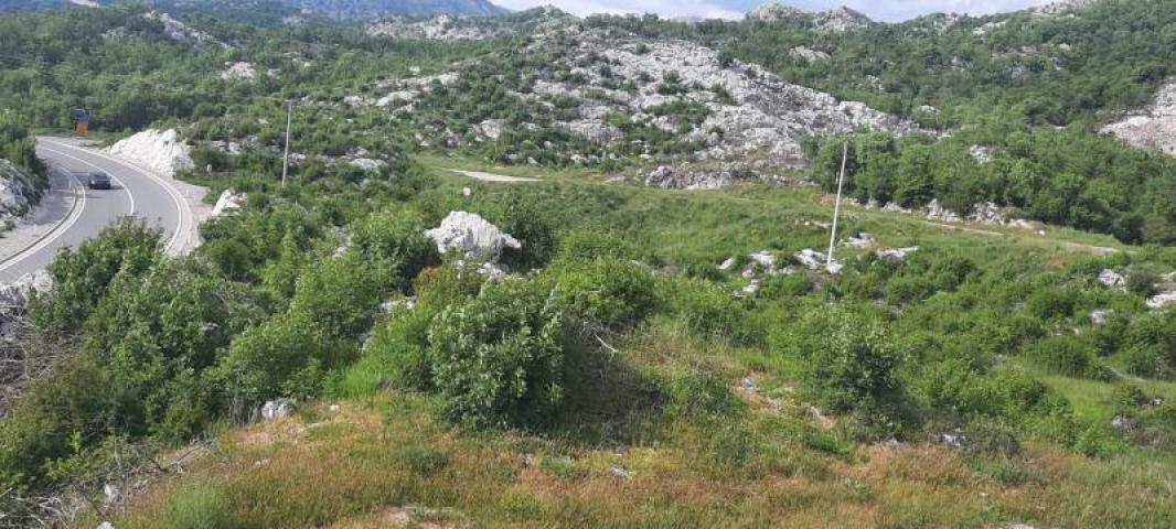 Land for sale in Cetinje 30.000m2