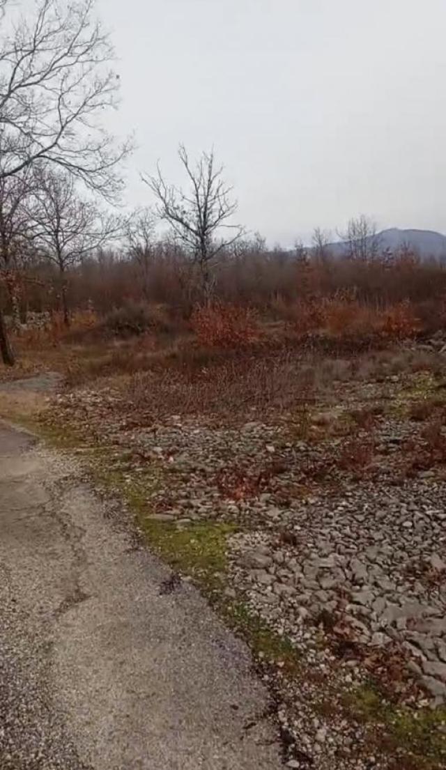 Land for Sale – Bandići, Danilovgrad