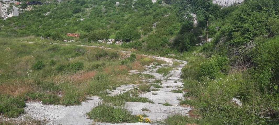 Land for sale in Cetinje 30.000m2