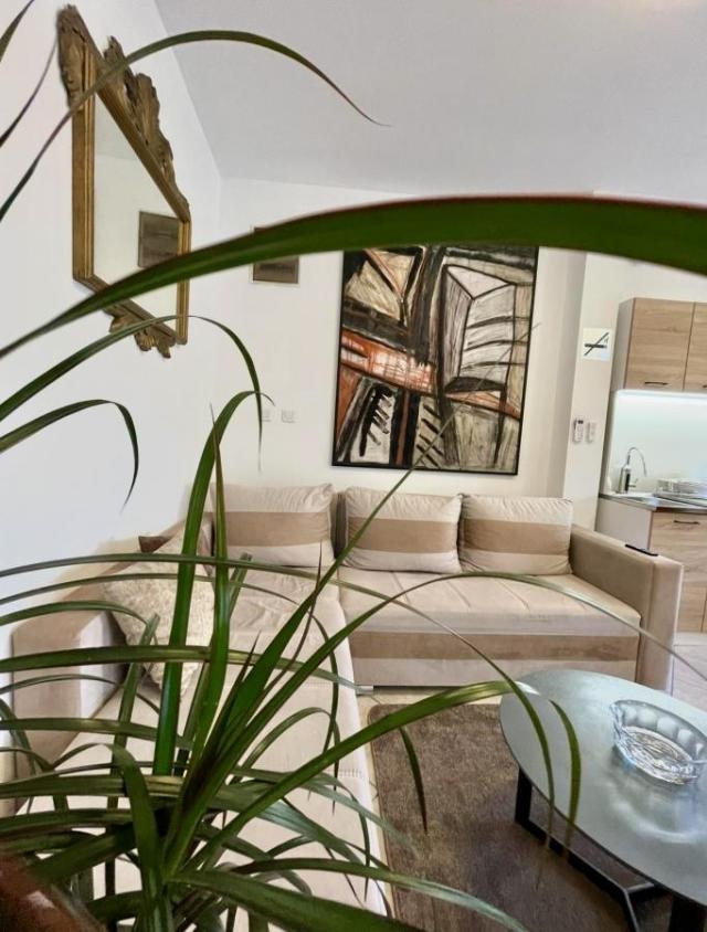 Garsonjera 35m2, Izdavanje, Podgorica