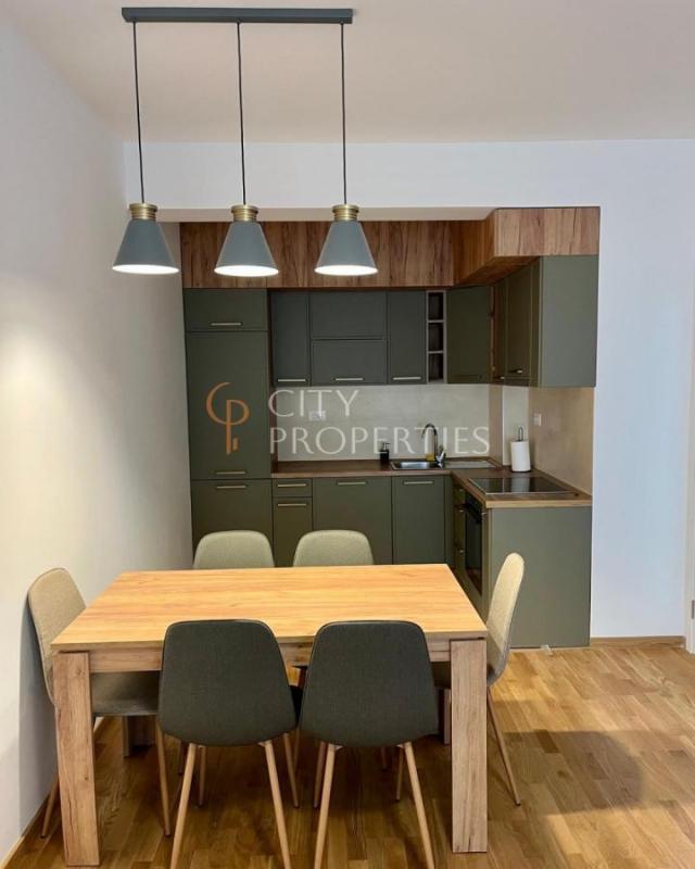 Jednosoban stan 45m2, Izdavanje, Podgorica