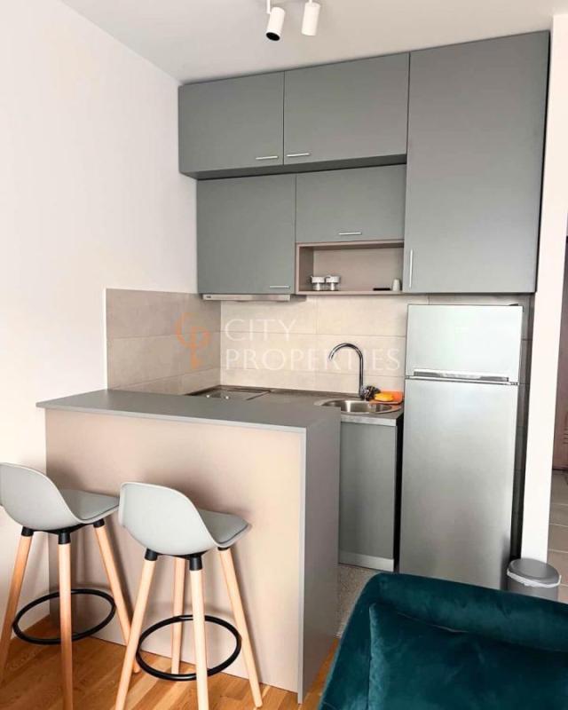 Garsonjera 31m2, Izdavanje, Podgorica