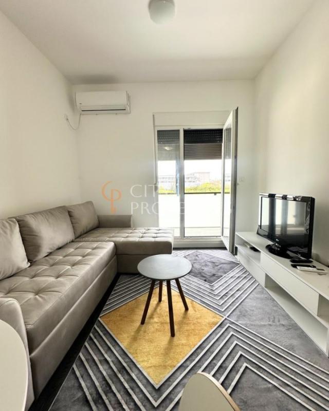 Garsonjera 27m2, Izdavanje, Podgorica