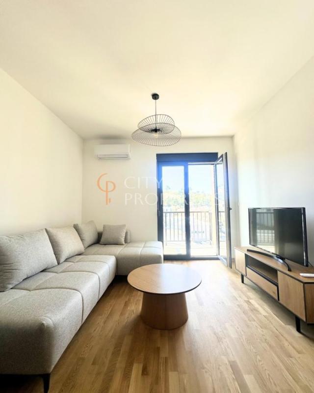 Jednosoban stan 40m2, Izdavanje, Podgorica