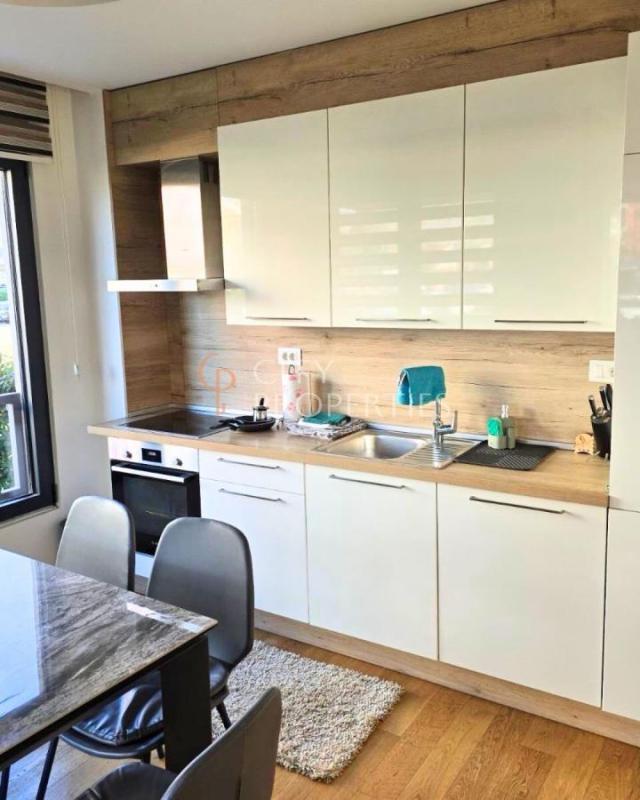 Jednosoban stan 46m2, Izdavanje, Podgorica