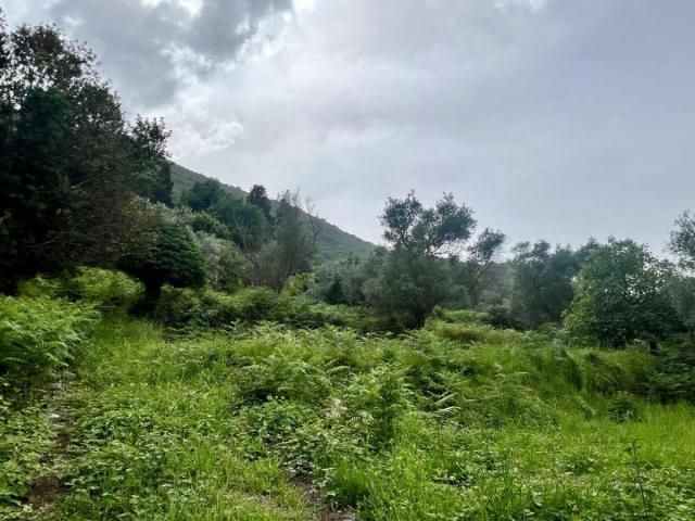 Zemljište u Stolivu s pogledom na more