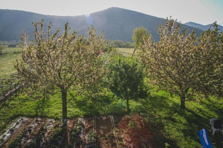 Ugodna kuća u živopisnom naselju Donji Kokoti, Podgorica