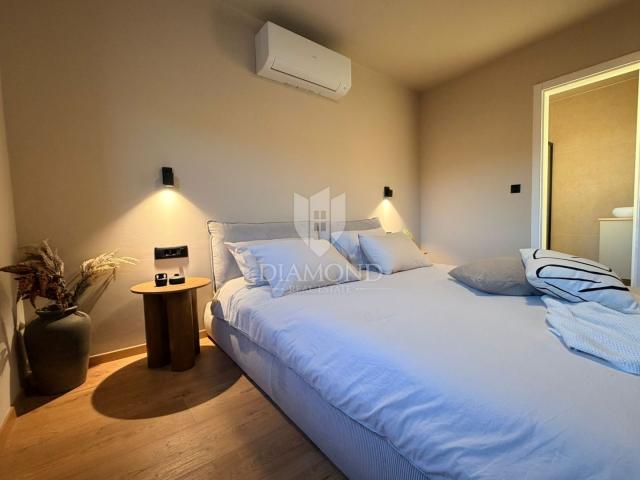 Labin, Ripenda, villa s wellnesom