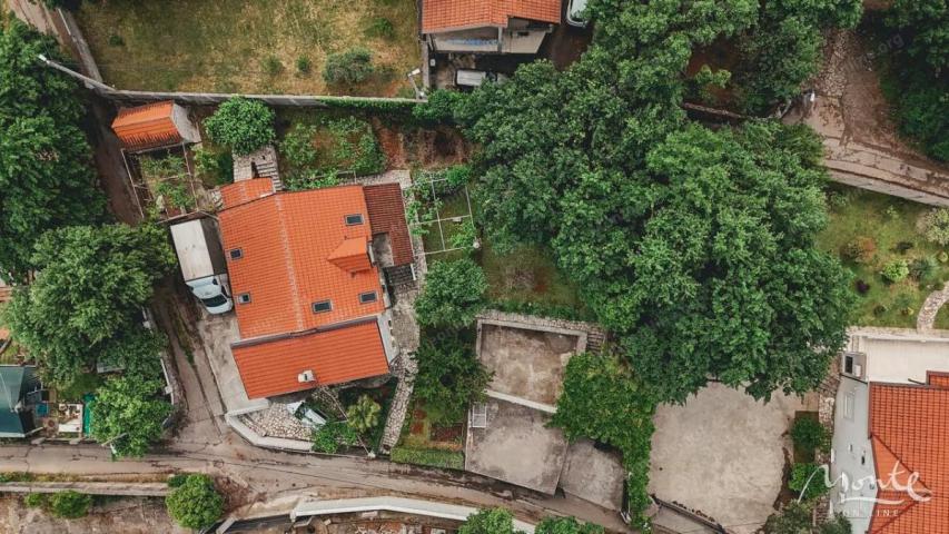 Prostrana porodična kuća sa uređenim vrtom i mnoštvom sadržaja, Podgorica