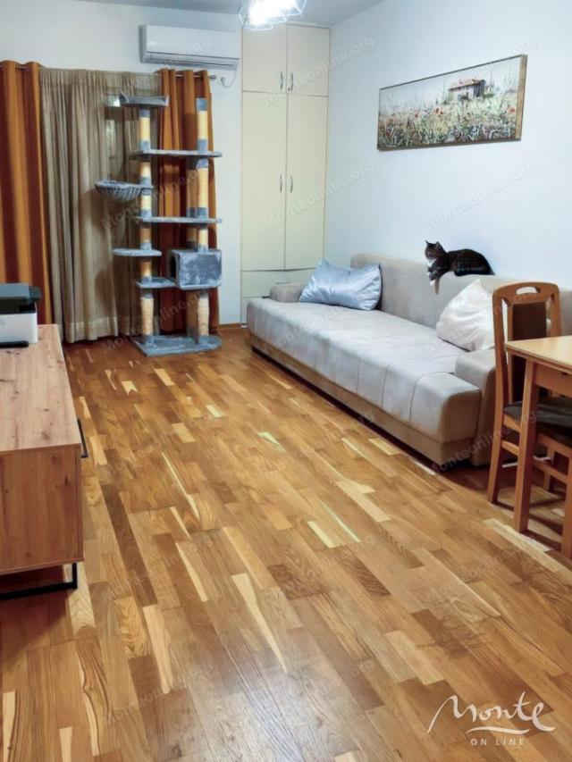 Ugodan jednosoban apartman s terasom i pogledom na planine u Budvi