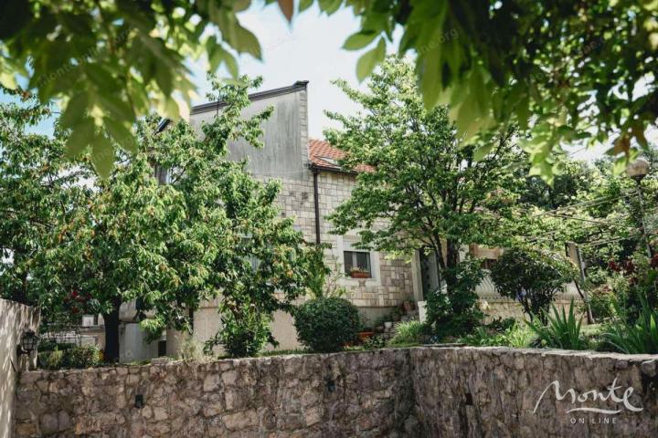 Prostrana porodična kuća sa uređenim vrtom i mnoštvom sadržaja, Podgorica