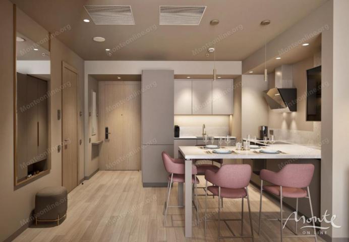 Apartman sa 1 spavaćom sobom u hotelu sa 5 zvjezdica na prvoj liniji u Rafailovićima
