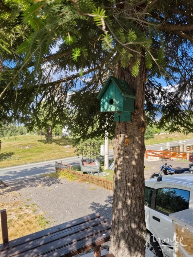 Kuća sa kaminom i velikom parcelom u slikovitom području Borja, Žabljak