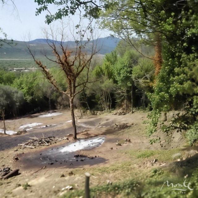 Urbanizovane parcele u novom stambenom naselju sela Dub, Kotor