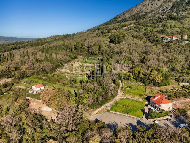 Konavle, Ljuta – građevinsko zemljište s projektom i građevinskom dozvolom za kamenu vilu – PRODAJA
