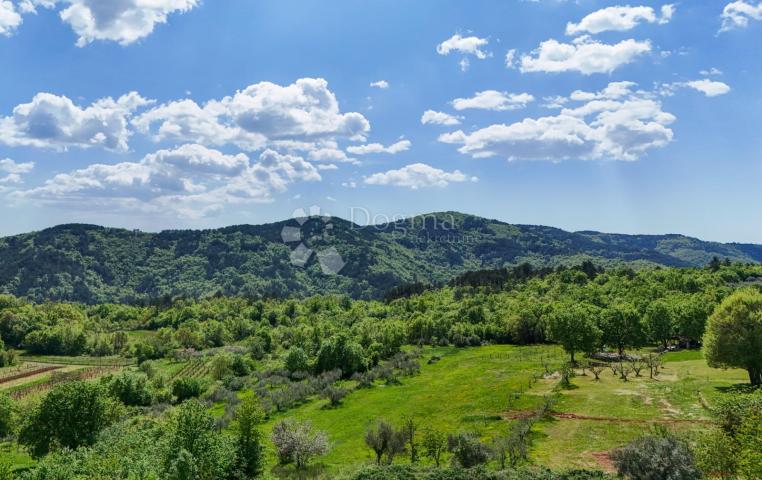 Središnja Istra, Sovinjak, fantastična kuća u izgradnji