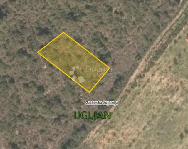 Agricultural land Ugljan, Preko, 458m2