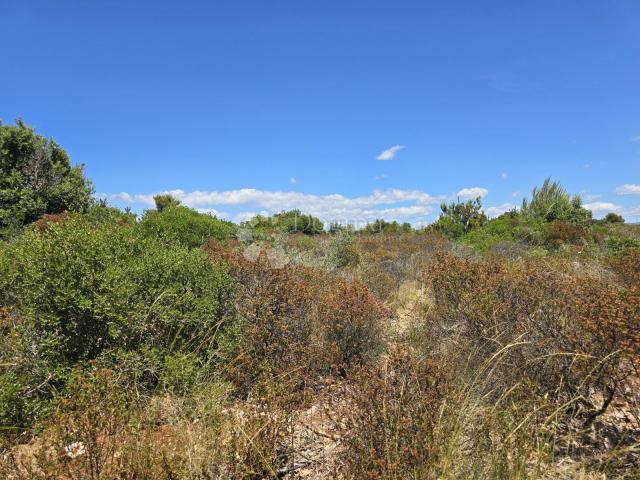 Agricultural land Ugljan, Preko, 458m2
