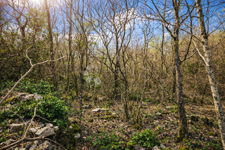 Ekskluzivno - LABIN - PRESIKA | Atraktivno građevinsko zemljište 1100 m²