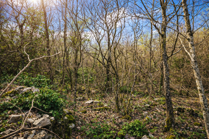 Ekskluzivno - LABIN - PRESIKA | Atraktivno građevinsko zemljište 1100 m²
