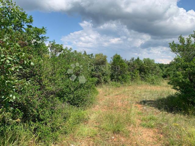 Land Rovinjsko Selo, Rovinj, 6.438m2