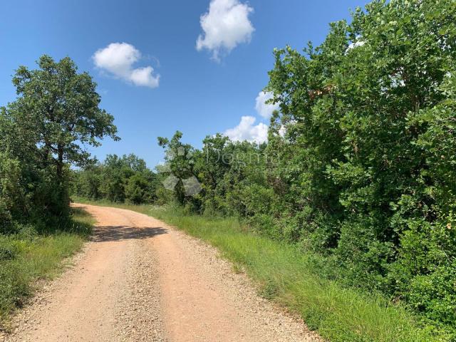 Land Rovinjsko Selo, Rovinj, 6.438m2