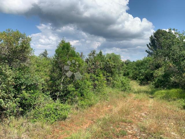 Land Rovinjsko Selo, Rovinj, 6.438m2