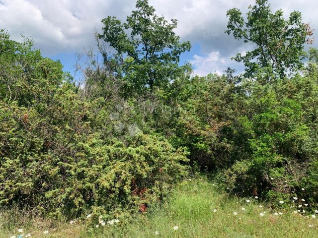 Land Rovinjsko Selo, Rovinj, 6.438m2