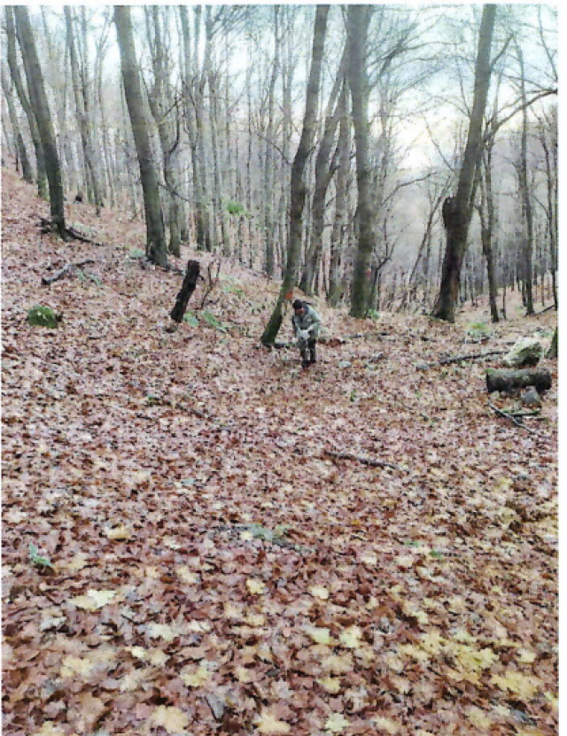 Land Kaniža, Ivanec, 399m2