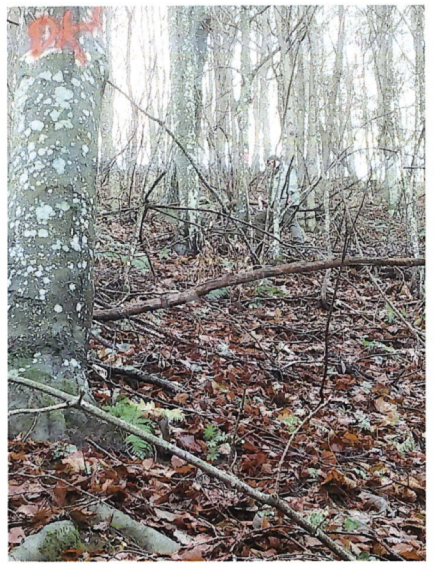 Land Kaniža, Ivanec, 399m2