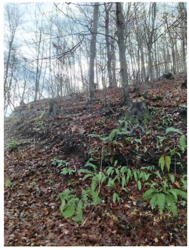 Land Kaniža, Ivanec, 399m2