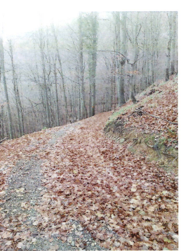 Land Kaniža, Ivanec, 399m2