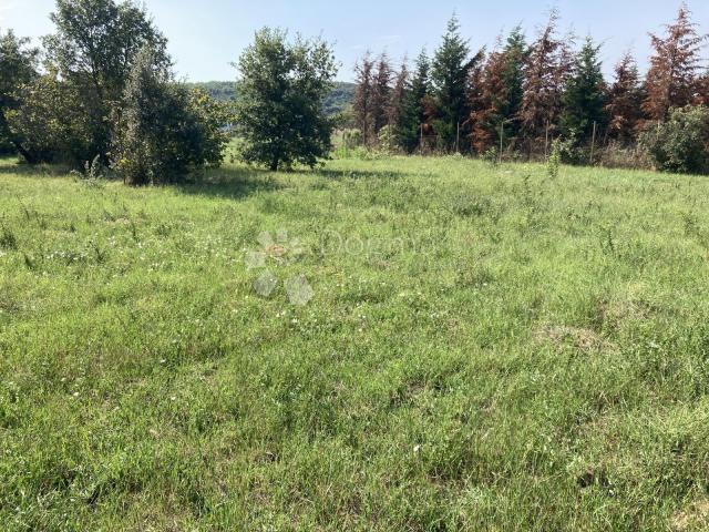 VOLME, 500M OD MORA