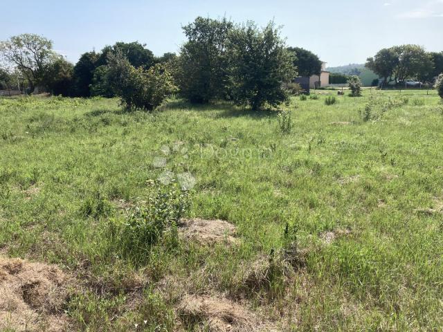 VOLME, 500M OD MORA