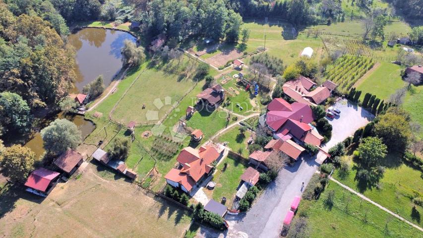 JEDINSTVENA PRILIKA!! POSAO I IMANJE OD 4 HEKTARA