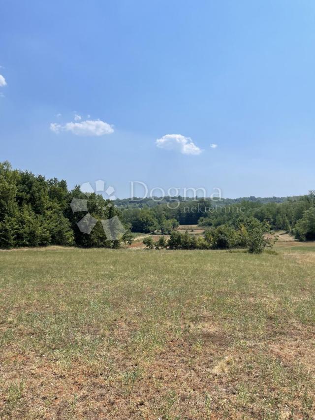 Sjeverna Istra, zemljište s projektom Rakotule
