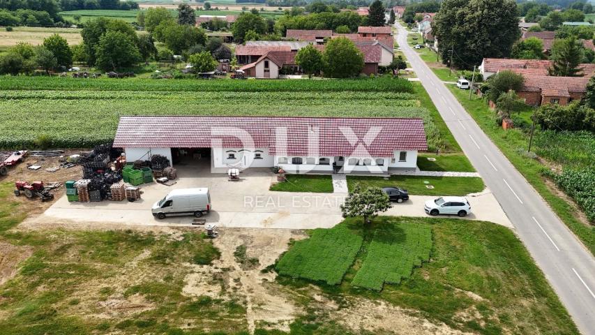 VIROVITICA, PITOMAČA - Hitna prodaja: kuća i prostrano imanje s plastenicima za proizvodnju povrća