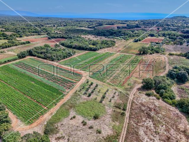 Šišan poljoprivredno zemljište, 1.250 m2, na rubu urbanizacije