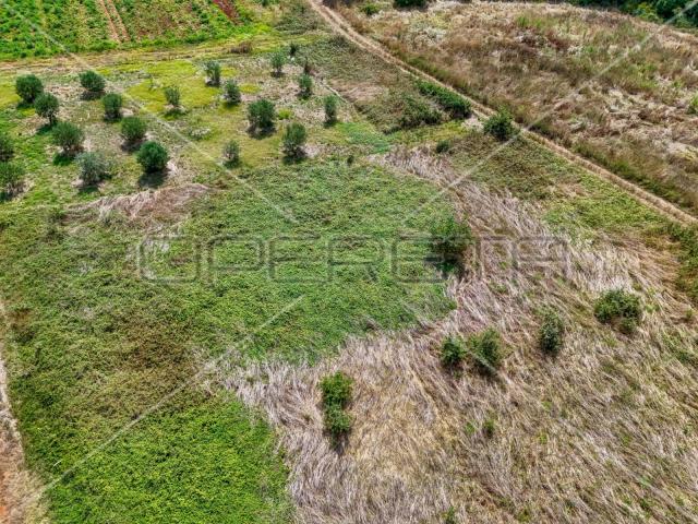 Šišan poljoprivredno zemljište, 1.250 m2, na rubu urbanizacije