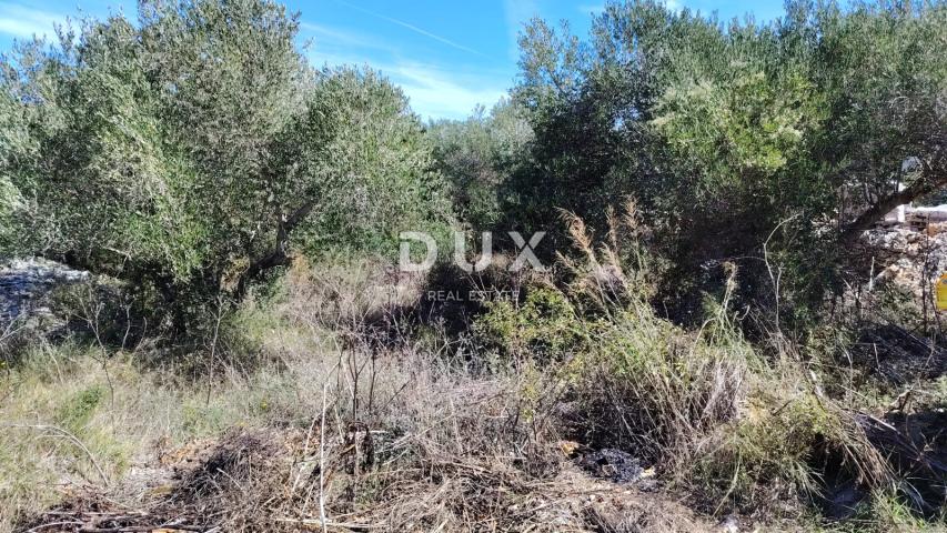DUGI OTOK, BOŽAVA - PRILIKA! Građevinsko zemljište 130 m od mora!