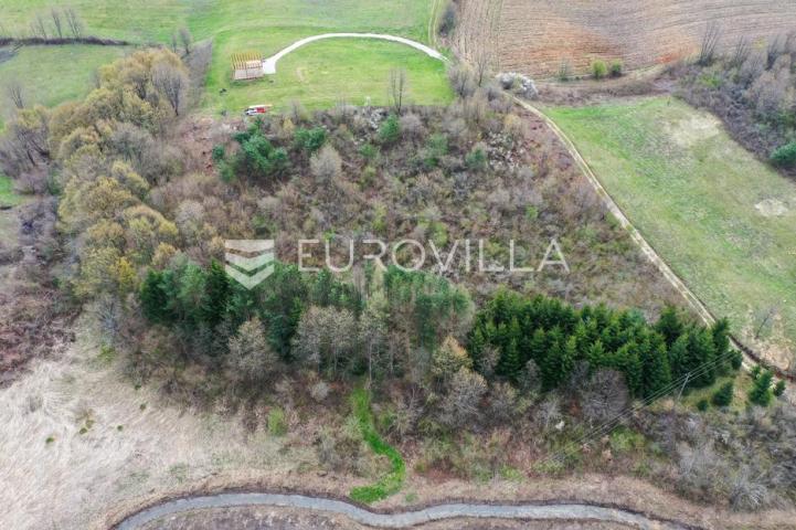 Rakovica, poljoprivredno zemljište 5600 m², odlična lokacija
