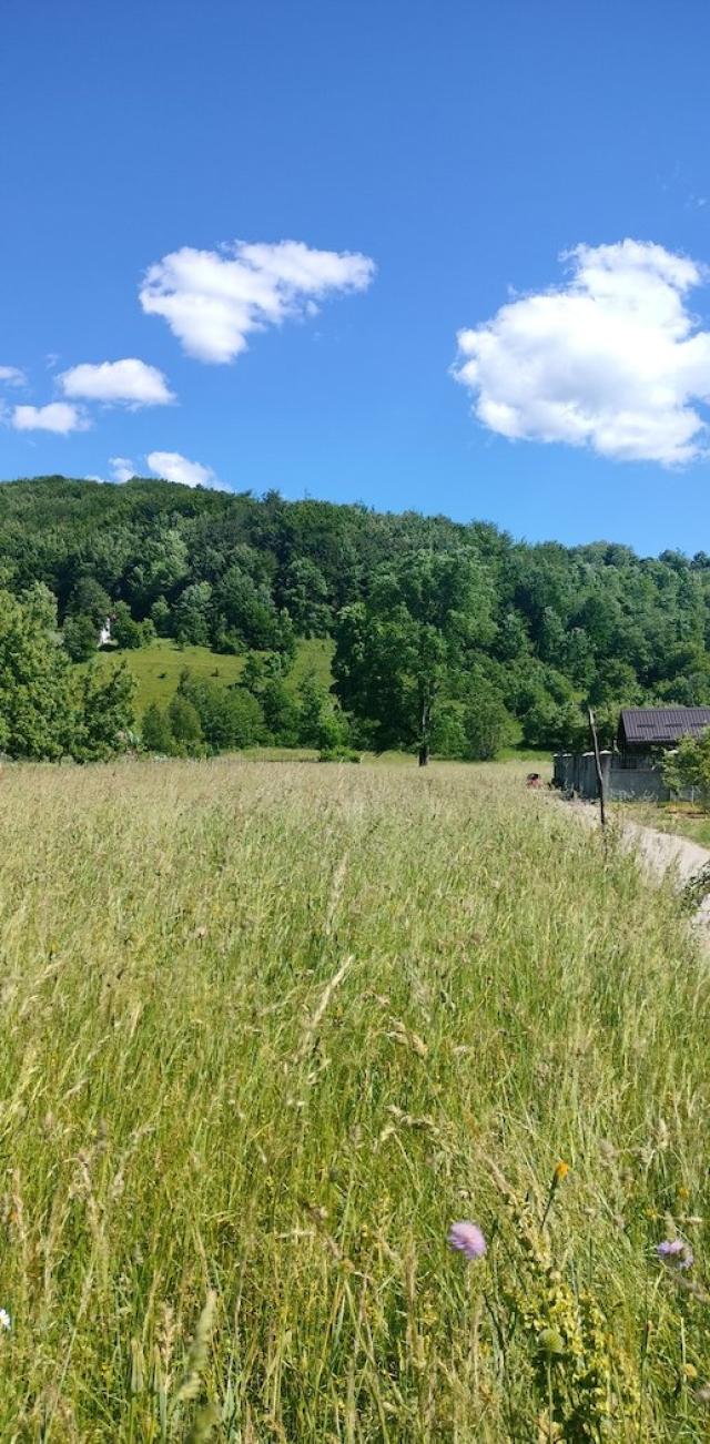 Urbanizovan plac, 5977m2, Smailagića polje, Kolašin