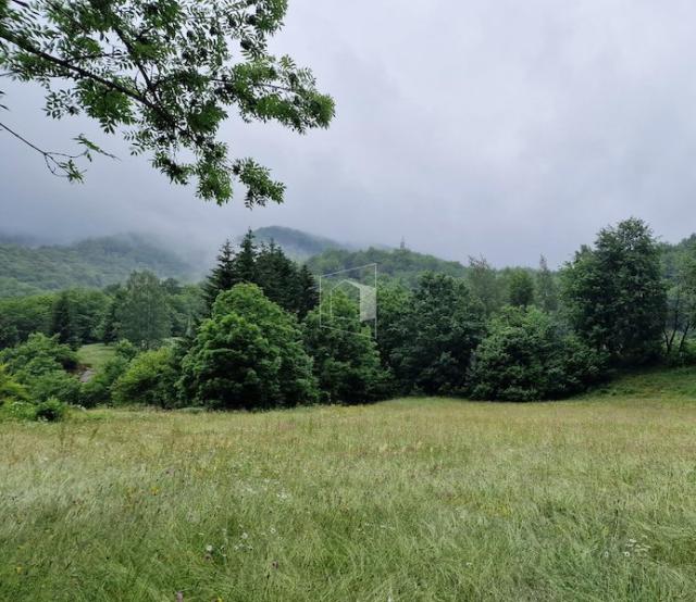 Plac, 18517m2, Moračko Trebavljevo, Kolašin