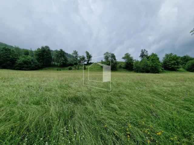 Plac, 11112m2, Moračko Trebaljevo, Kolašin