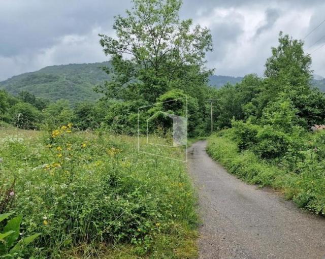 Plac, 11112m2, Moračko Trebaljevo, Kolašin