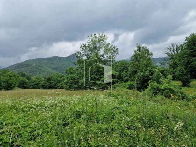 Plac, 11112m2, Moračko Trebaljevo, Kolašin