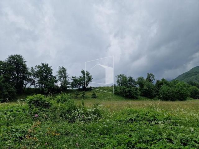 Plac, 11112m2, Moračko Trebaljevo, Kolašin