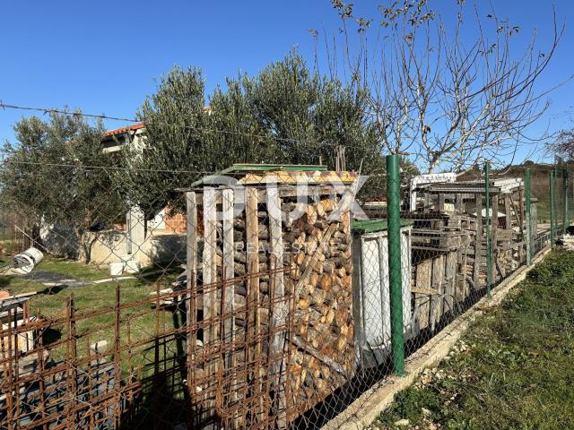 CRNO, ZADAR - Ograđeno zemljište s vrtnom kućom!