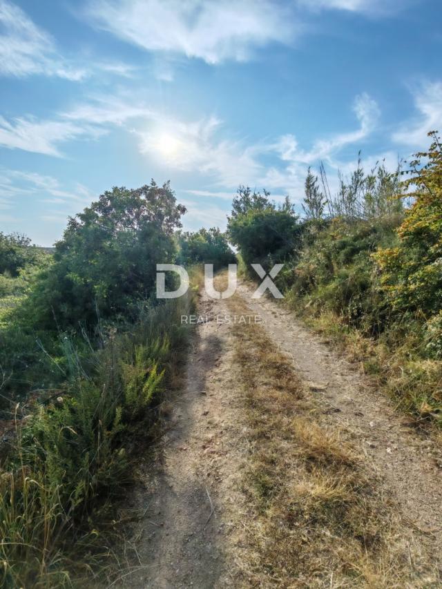 ZADAR, VRSI - Agricultural land surrounded by nature!