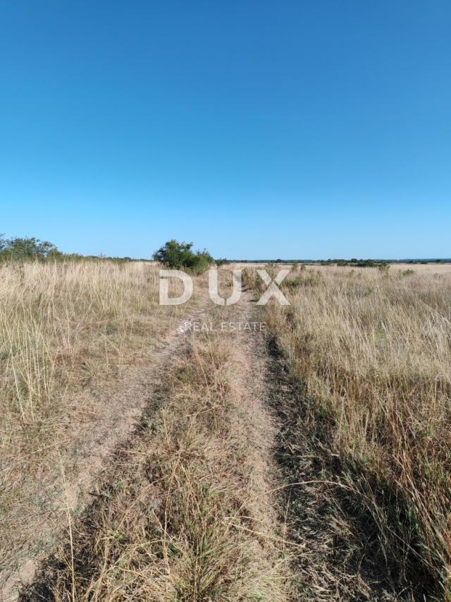 ZADAR, POLJICA – Ackerland in ruhiger Lage! 5752 m²!